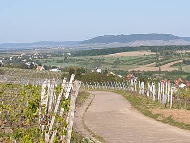 Blick zurück nach Sulzfeld